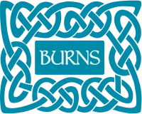 Burns