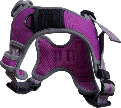 Hem And Boo Sports Harness Purple