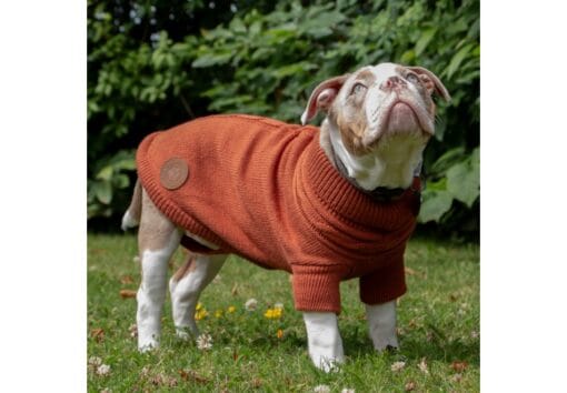 Ancol Cable Knit Jumper Terracotta - Image 2