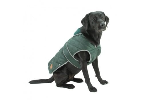 Ancol Heritage Green Quilted Dog Coat