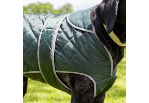 Ancol Heritage Green Quilted Dog Coat - Image 2