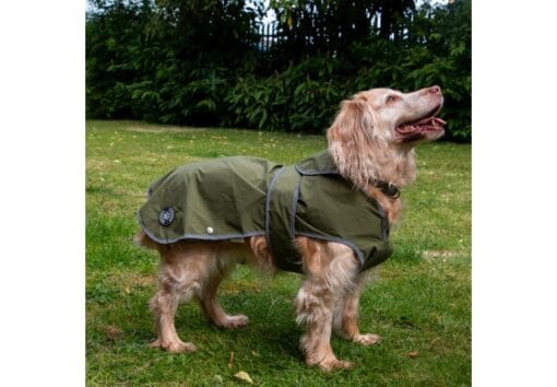 Ancol Stormguard Soft Shell Dog Coat Khaki - Image 2