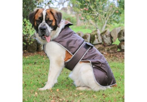Ancol Stormguard Dog Coat Chocolate - Image 2